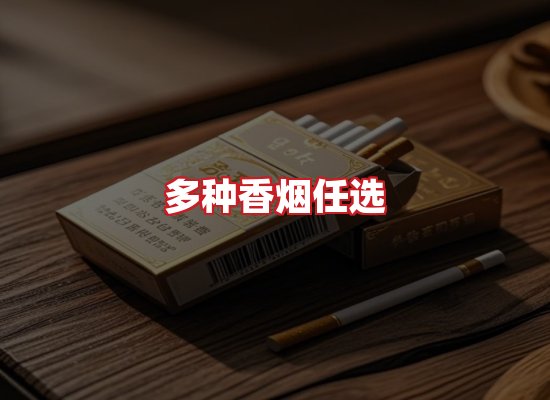 专业团队